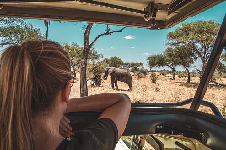 Day Safari to Mikumi National Park from Zanzibar — Fly-in Wildlife Adventure photo 4