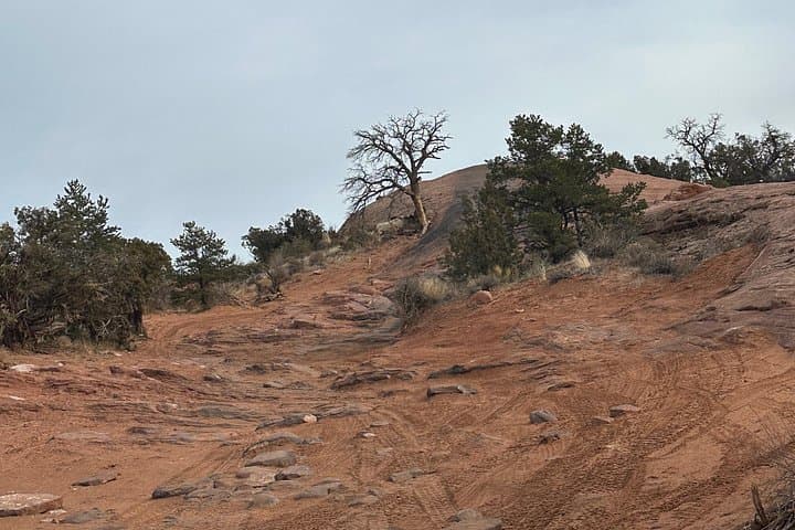 Fins and Things 4x4 Tour — Off‑Road Moab’s Red‑Rock Fins in a 4‑Seat UTV photo 2