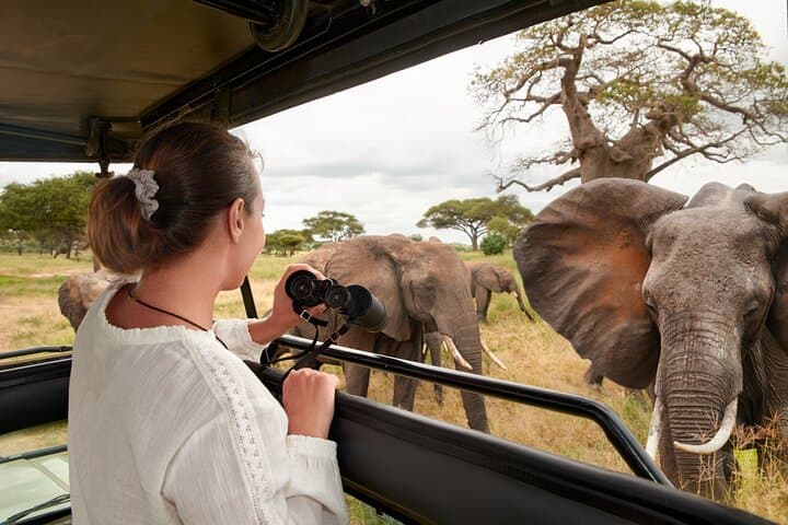 Day Safari to Mikumi National Park from Zanzibar — Fly-in Wildlife Adventure photo 2