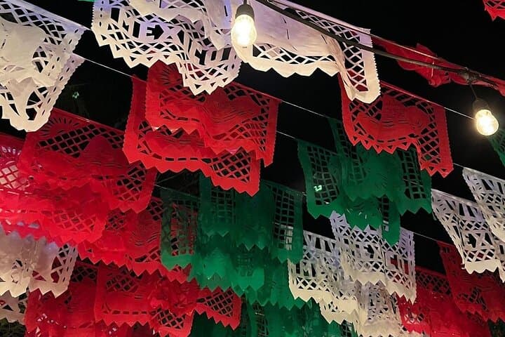 Xoximilco Cancun: Trajinera Dinner Cruise with Live Mariachi and Open Bar photo 3