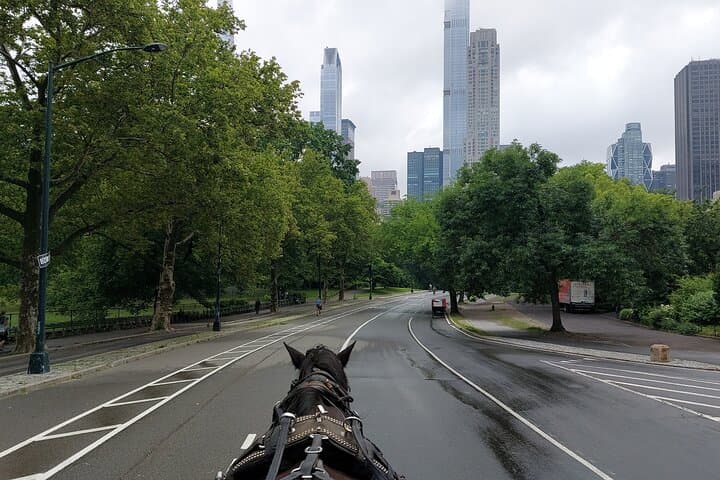 Central Park Private Horse Carriage Ride — Full Loop (45 Minutes) photo 2