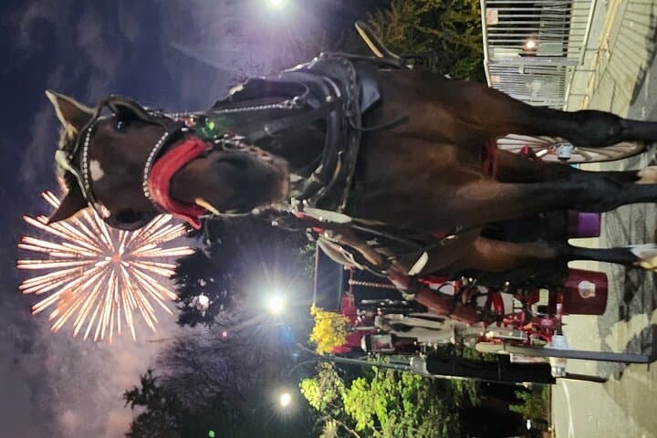 Central Park Private Horse Carriage Ride — Full Loop (45 Minutes) photo 3