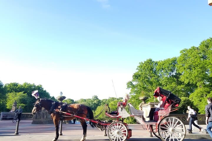 Central Park Private Horse Carriage Ride — Full Loop (45 Minutes) photo 4
