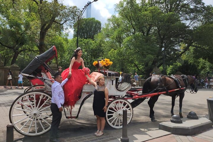 Central Park Private Horse Carriage Ride — Full Loop (45 Minutes) photo 6