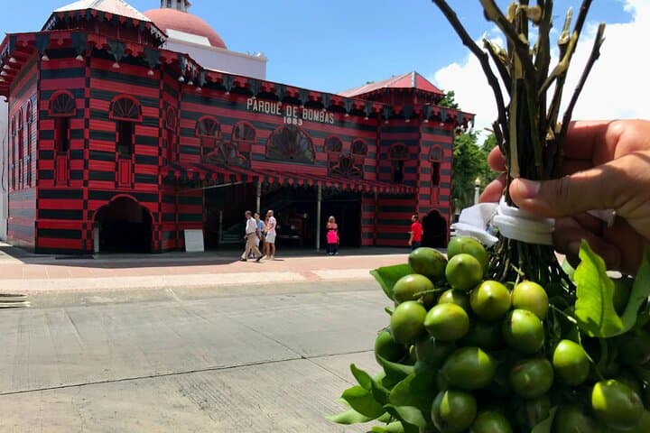 Around the Island Tour from San Juan: Full-Day Puerto Rico Sights & Culture