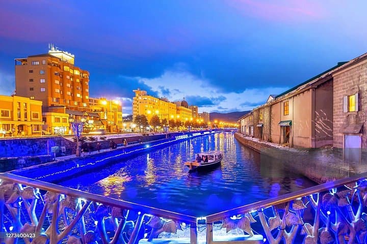 Private Otaru Canal Tour from Sapporo — Music Boxes, Mt. Tengu Views & Onsen photo 1