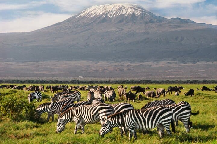 2-Day Amboseli Safari — Elephants, Kilimanjaro & Classic Game Drives photo 2