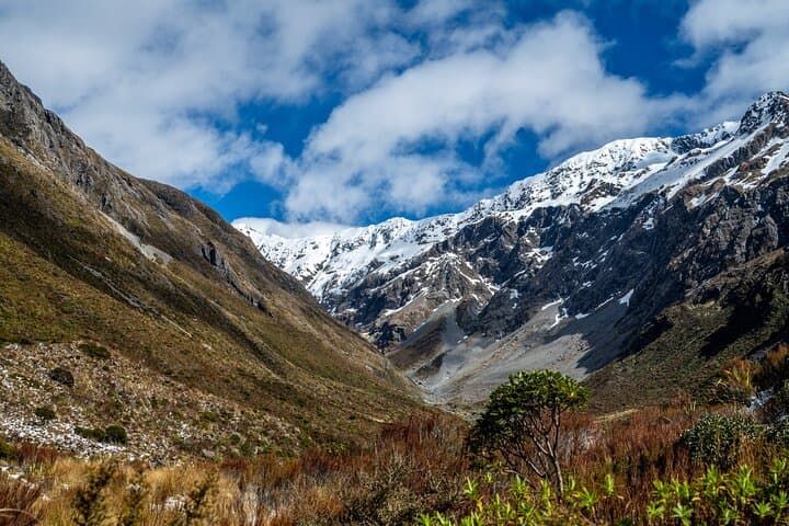 Arthur’s Pass Day Tour from Christchurch — Jet Boat on the Waimakariri & TranzAlpine Return
