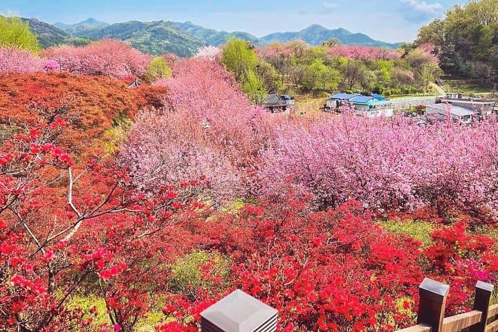 Jeonju Hanok Village Day Tour: Wansan Park & Gakwonsa Temple from Seoul