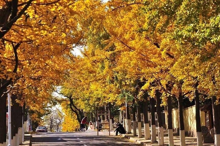 Qingdao Private City Highlights Tour with Lunch & Tsingtao Beer photo 4