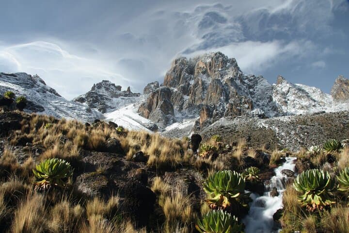 Mount Kenya Day Hike from Nairobi — Naro Moru to Met Station (Sirimon/Naro Moru Traverse) photo 6