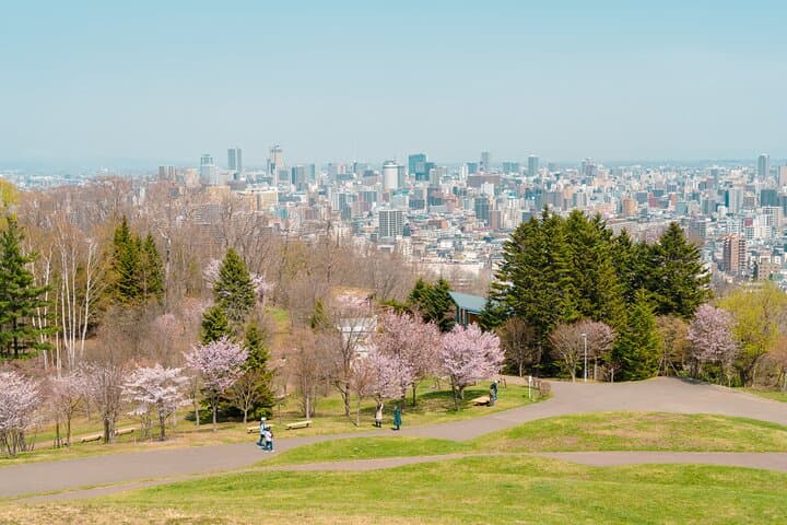 Sapporo Private Custom Full-Day Tour — 8-Hour City Highlights & Hidden Gems photo 2