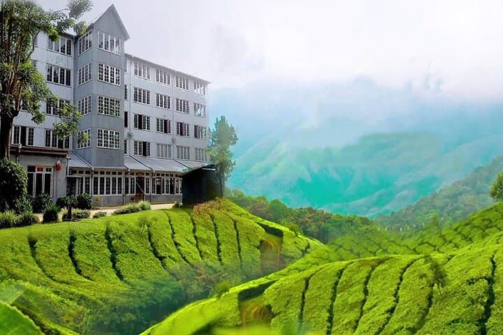 Kandy City Tour: Temple of the Tooth, Botanical Gardens & Tea Estate (Private Full-Day) photo 6