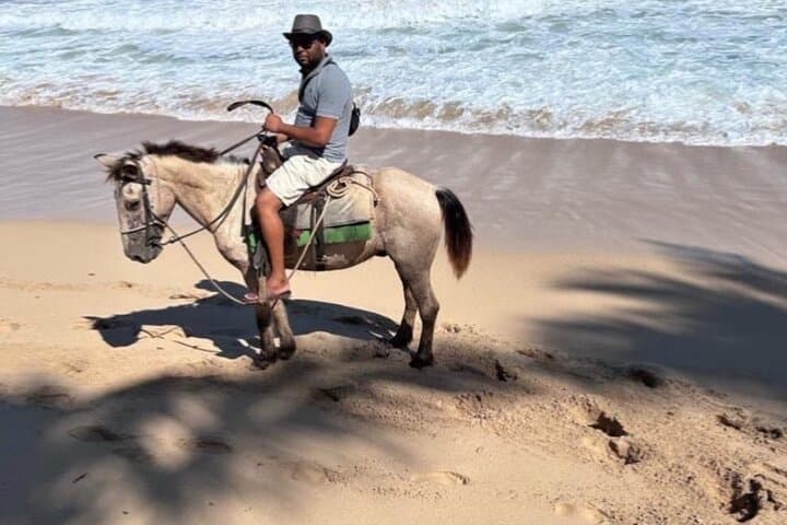 Unleash the Equestrian Spirit in Punta Cana: A Beachfront Horseback Adventure photo 2