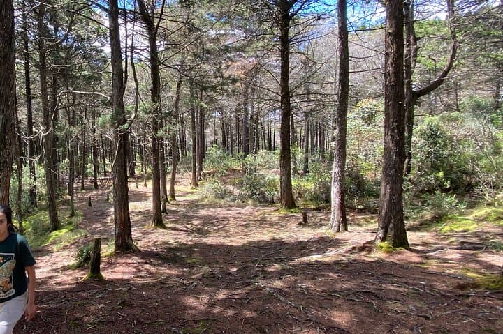 Santa Elena Nature Exploration and Healing Sounds Retreat photo 4