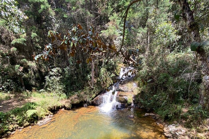 Santa Elena Nature Exploration and Healing Sounds Retreat photo 5