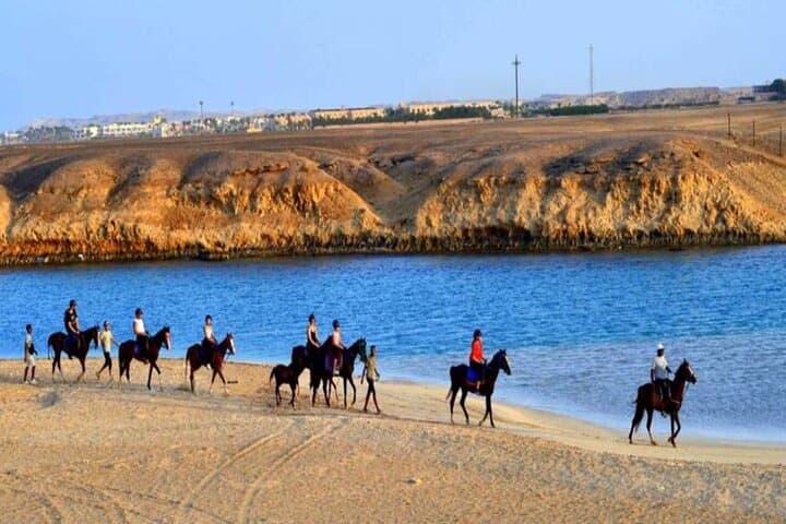 Sunrise Horseback Ride on Marsa Alam Beaches and Desert — 3-Hour Adventure