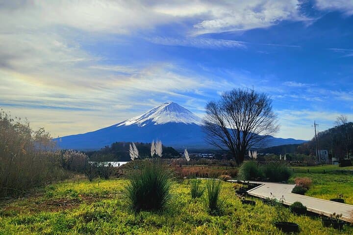 Mount Fuji & Hakone Day Tour from Tokyo: Ropeway, Lake Ashi Cruise & Owakudani photo 4