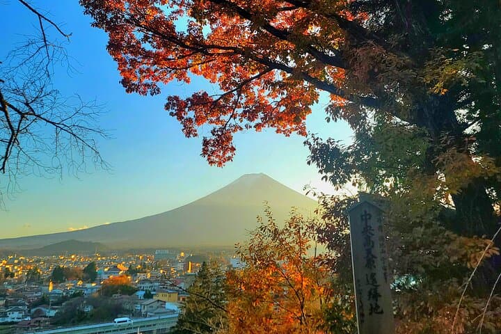 Mount Fuji & Hakone Day Tour from Tokyo: Ropeway, Lake Ashi Cruise & Owakudani photo 6