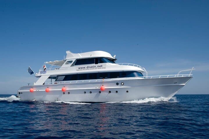 Red Sea Double Dive: Full-Day Boat Trip in Sharm Marine Parks photo 2