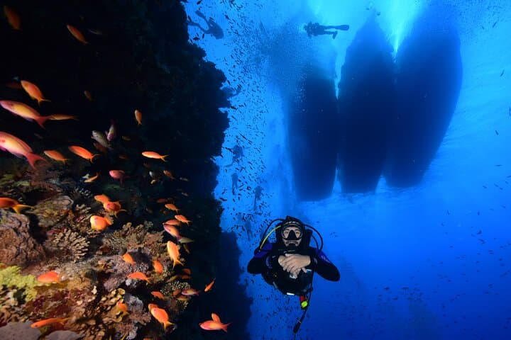 Red Sea Double Dive: Full-Day Boat Trip in Sharm Marine Parks photo 3