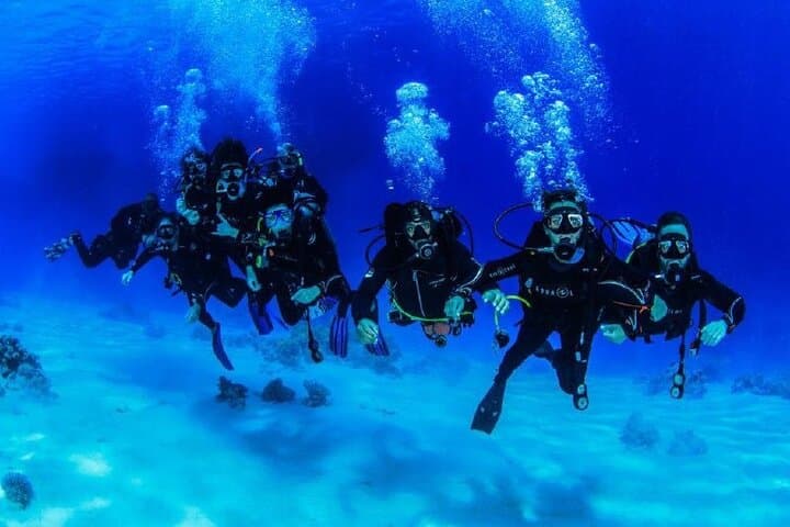Red Sea Double Dive: Full-Day Boat Trip in Sharm Marine Parks photo 5