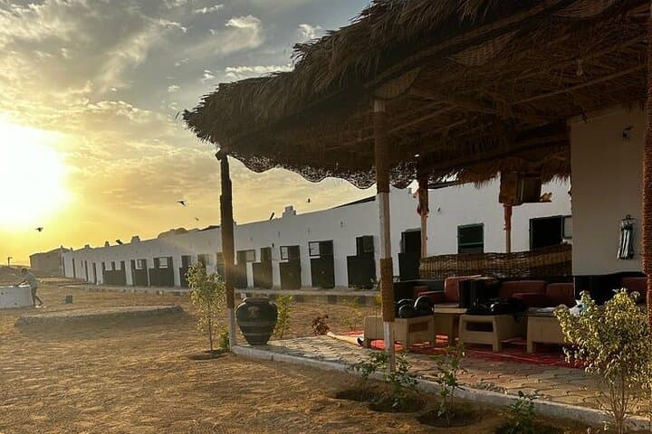 Sunrise Horseback Ride on Marsa Alam Beaches and Desert — 3-Hour Adventure photo 5
