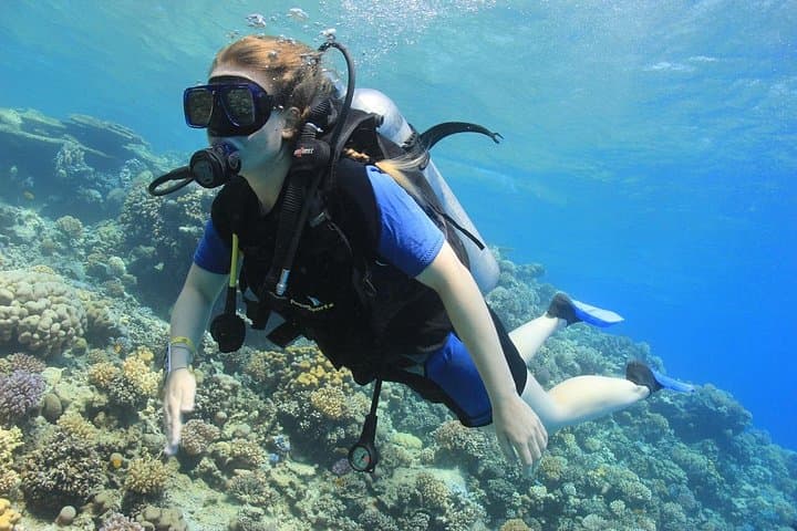 3-Day PADI Open Water Course in Sharm El Sheikh — Ras Mohammed Boat Dives photo 5