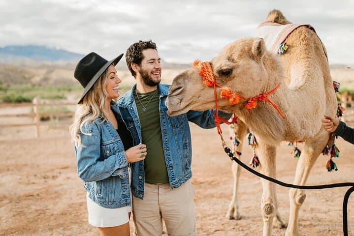Las Vegas UTV Safari & Zoo Combo: Virgin River UTV Tour with Camel Encounter photo 5