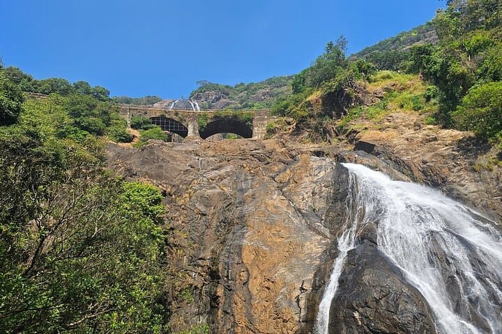 Dudhsagar Falls Jeep Safari and Spice Plantation Private Day Tour — Mollem National Park photo 2