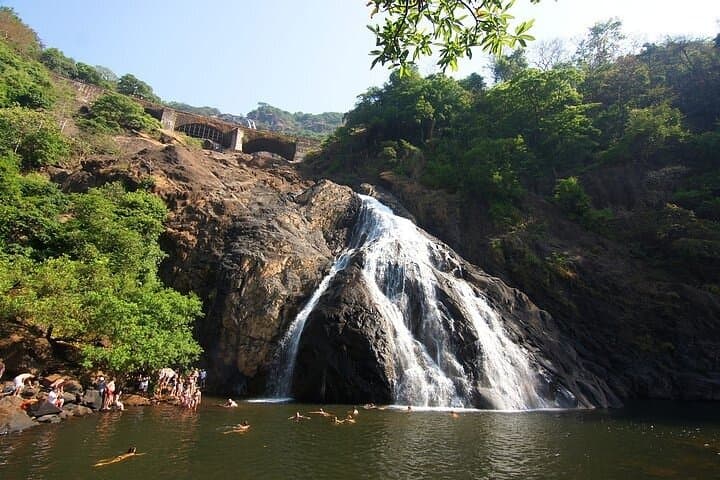 Dudhsagar Falls Jeep Safari and Spice Plantation Private Day Tour — Mollem National Park photo 3