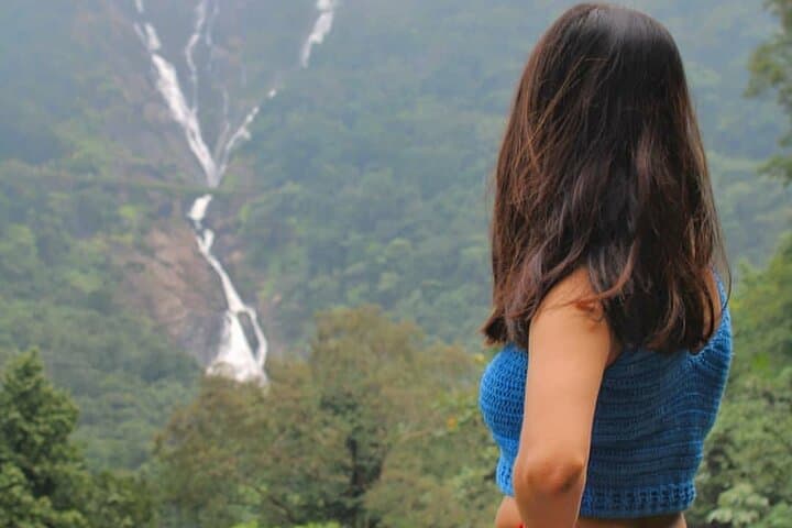 Dudhsagar Falls Jeep Safari and Spice Plantation Private Day Tour — Mollem National Park photo 4