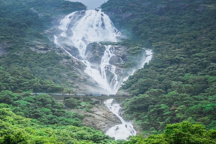 Dudhsagar Falls Jeep Safari and Spice Plantation Private Day Tour — Mollem National Park photo 5