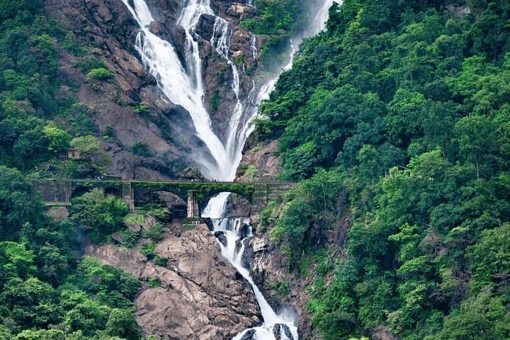 Dudhsagar Falls Jeep Safari and Spice Plantation Private Day Tour — Mollem National Park