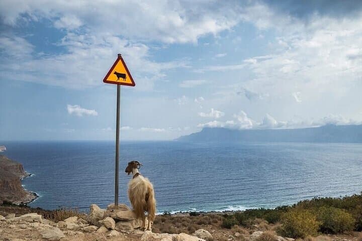 Custom Jeep Tours from Rethymno: Off-Road Crete Safari & Local Experiences photo 3