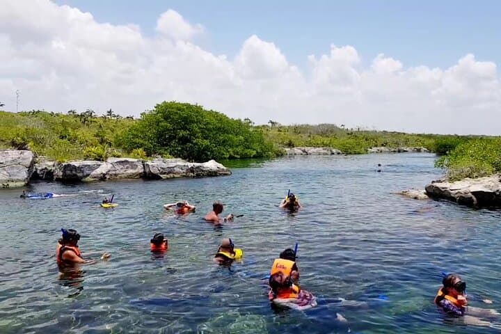 Riviera Maya Cenote Circuit: Snorkel, Rappel and Zipline from Cancun photo 2