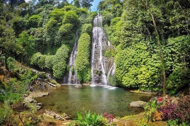 Bali Highland Circuit: Ulun Danu Bedugul, Banyumala Falls & Jatiluwih Rice Terraces photo 3