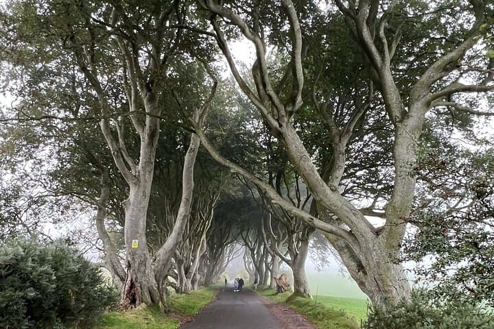 Giants Causeway Day Trip from Belfast Cruise Terminal — Dark Hedges, Carrick-a-Rede & Dunluce photo 4