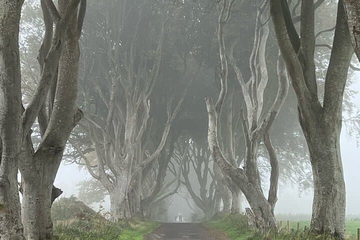 Giants Causeway Day Trip from Belfast Cruise Terminal — Dark Hedges, Carrick-a-Rede & Dunluce photo 5
