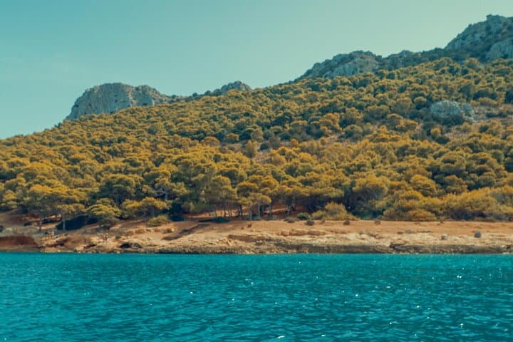 Private Cruise to Aegina, Moni Islet & Perdika — Day Trip from Athens photo 6