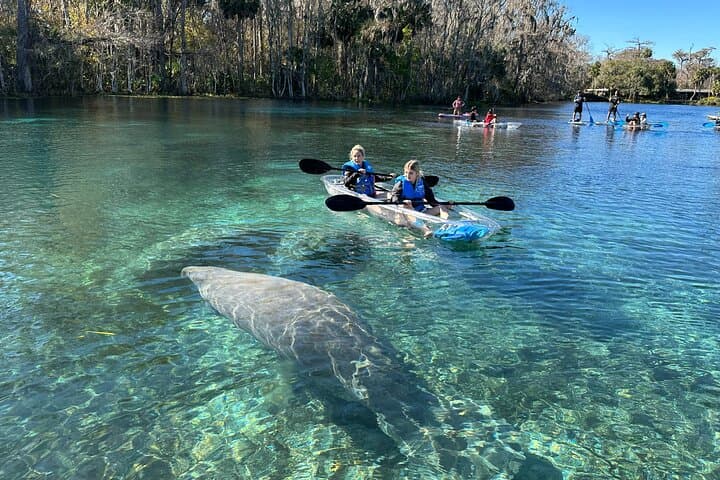 Silver Springs Clear Kayak Rentals: Paddle with Manatees in Crystal Water