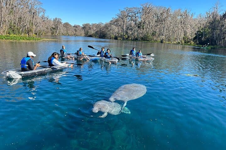 Silver Springs Clear Kayak Rentals: Paddle with Manatees in Crystal Water photo 2