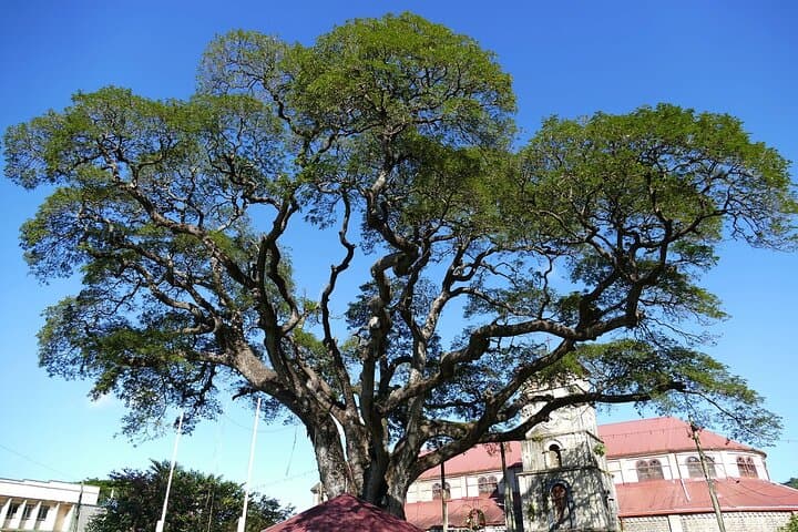 St Lucia Countryside Drive and Pigeon Island Beach Tour photo 2