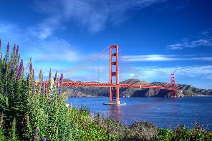 Golden Gate Trail Private Tour: Presidio Art, History & Bridge Views photo 3