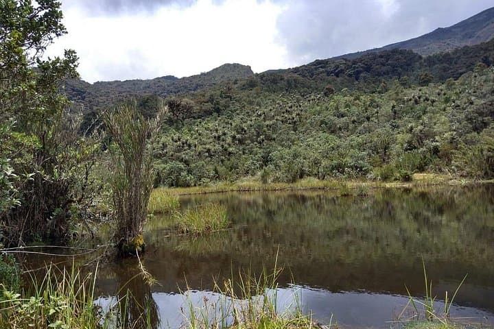 Trek to the Andean Bear Habitat at Mazafonte — Day Hike from Bogotá