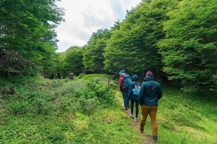 Private Patagonian Forest Hike from Punta Arenas — 4-Hour Guided Lenga Trail & Strait Views photo 2