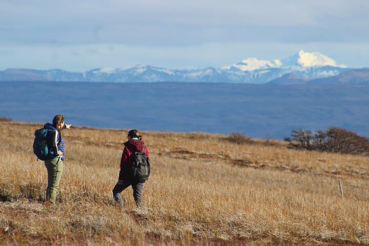 Mount Fenton Patagonian Forest Hike — 6-Hour Private Trek from Punta Arenas
