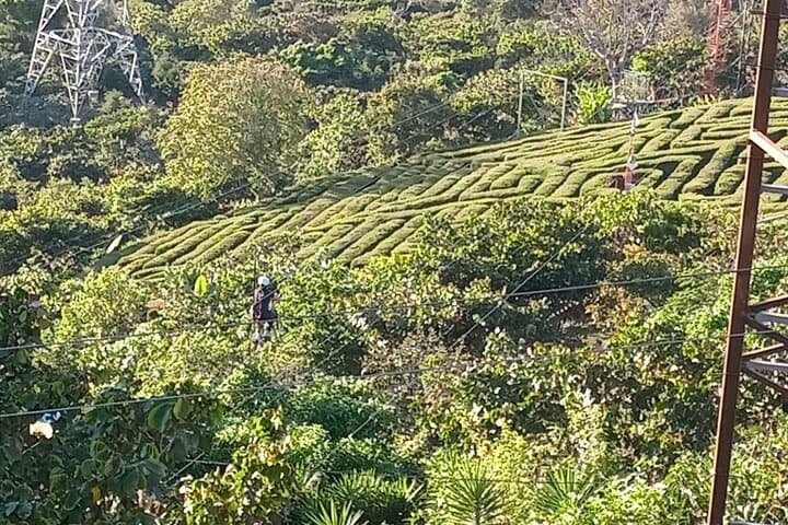 Flowers Route: Full-Day Village Tour from San Salvador photo 4