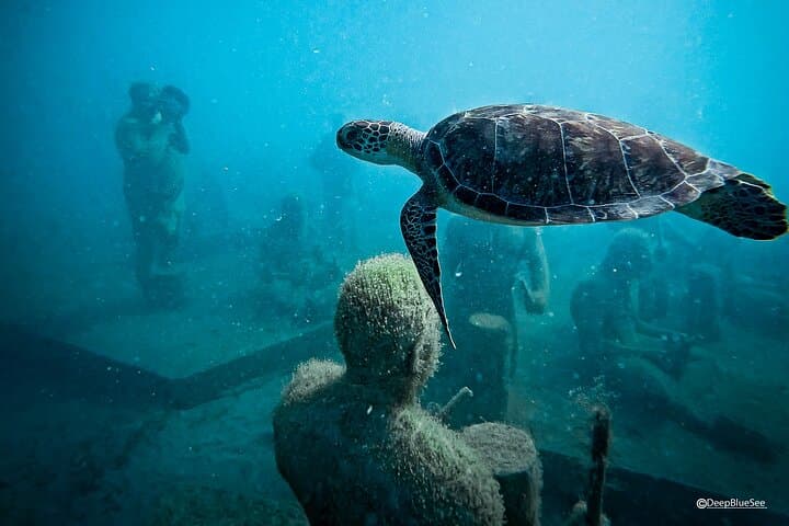 Snorkel the Underwater Sculpture Park in Little Bay, Sint Maarten photo 3