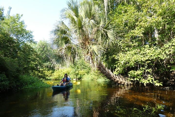 Scenic Wekiva River Kayak Tour from Orlando — Small-Group Wildlife Paddle photo 4